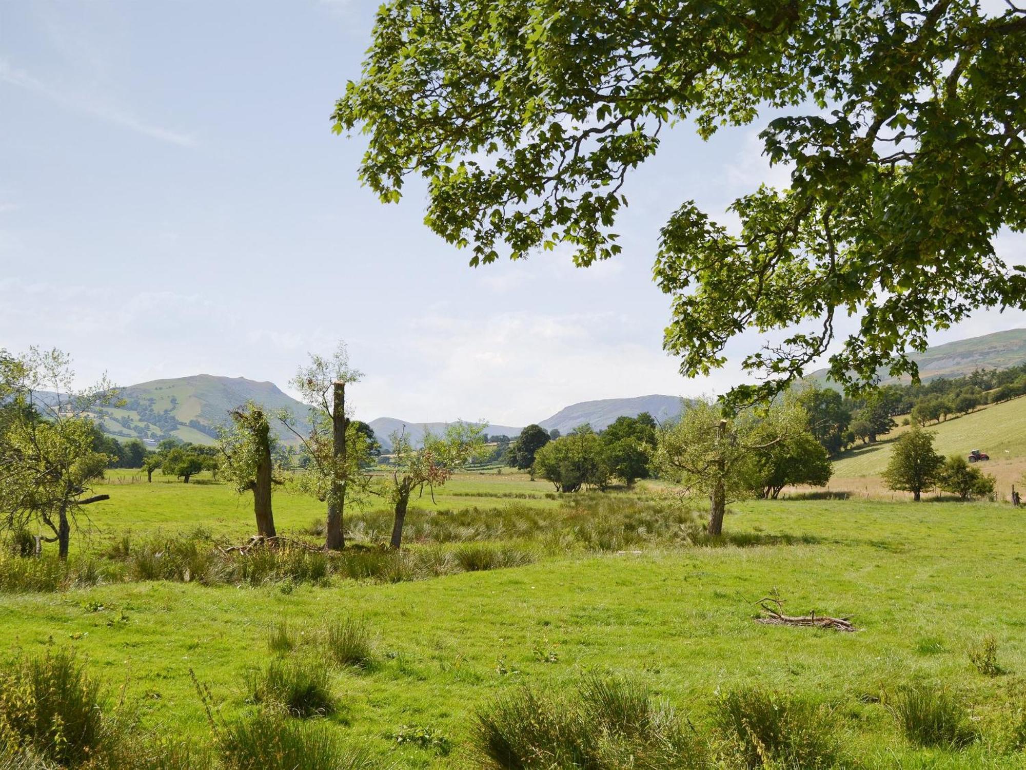 泰瑞德乡村别墅 Llanrhaeadr-ym-Mochnant 外观 照片